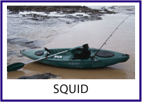 Squid sit on top fishing kayak by Australis